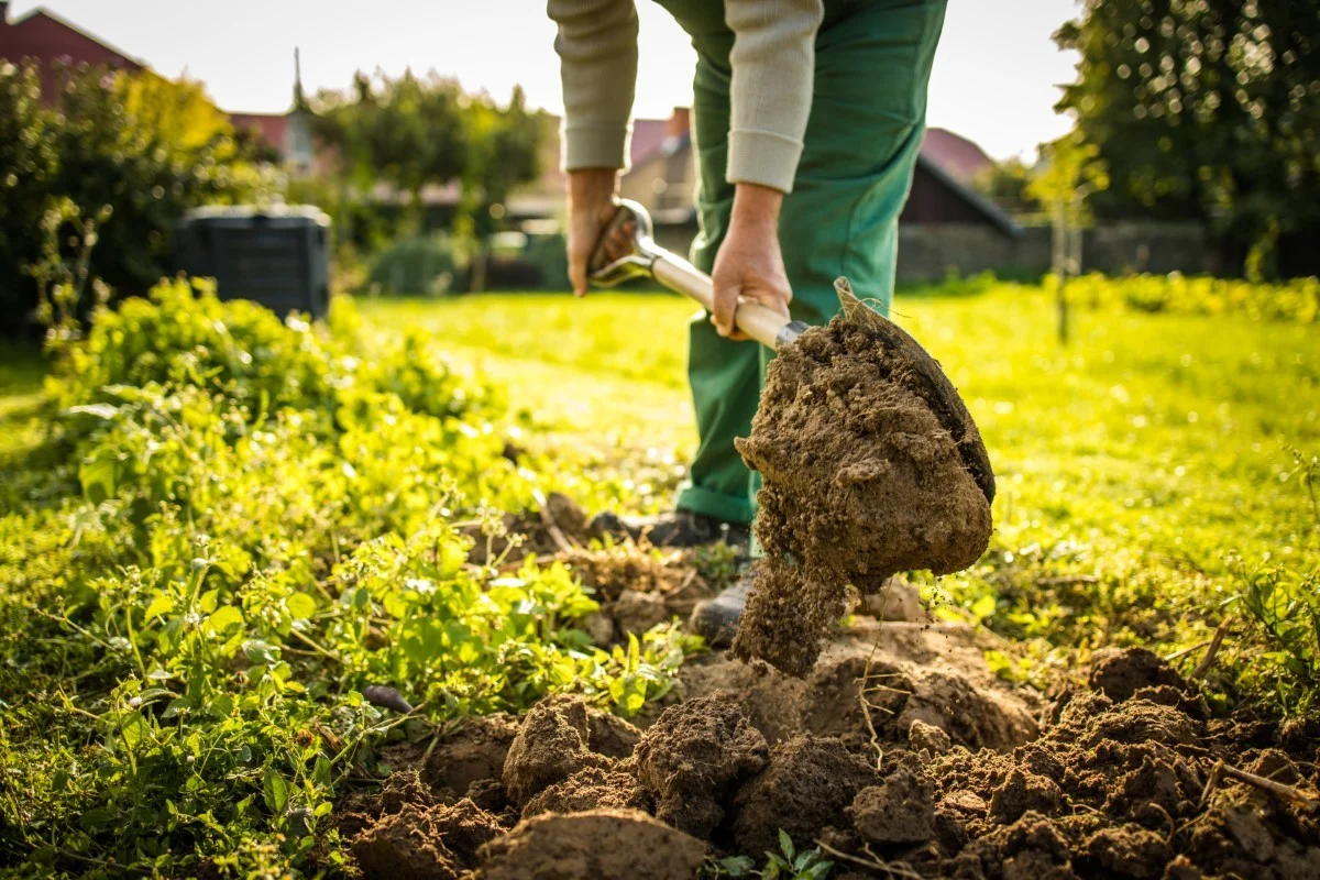 Seven Gardening Mistakes Landscape Professionals Avoid