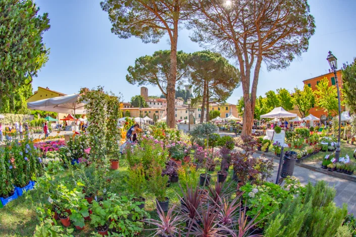Vicopisano Castello in Fiore, May 16 and 17, 2026 - Flowering Balcony - The Gardening Blog
