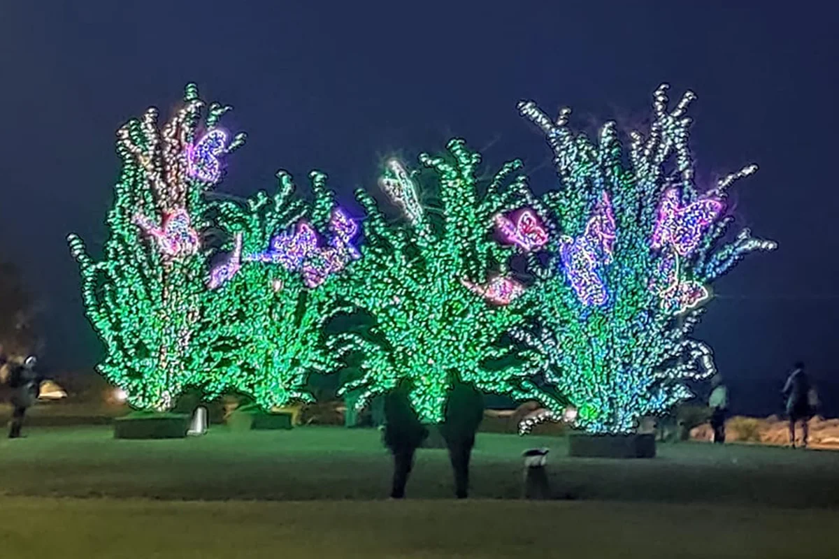 Artistic Christmas at the 'Giardino Nuttate de Luna' 2023