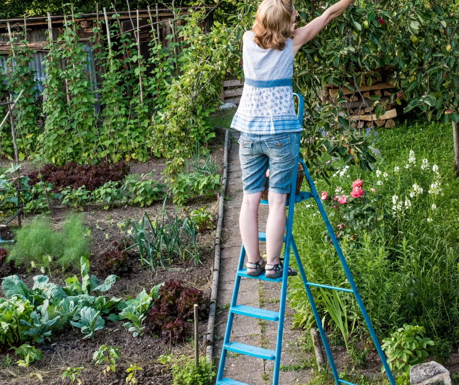 Understanding the Risks of Gardening: Safety First