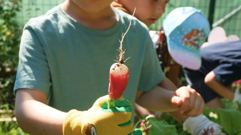 Engaging Children with Nature through Gardening