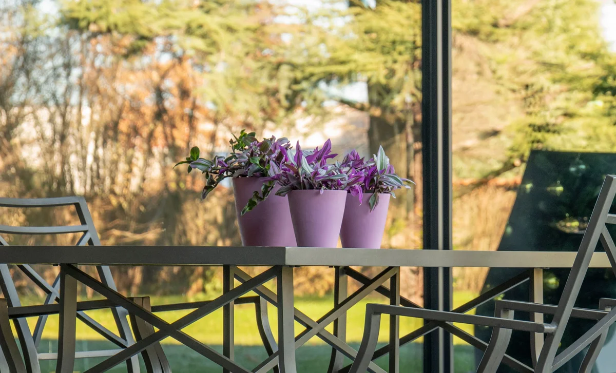 Springtime in Pots: Ideas and Plants to Revitalize Balconies and Terraces