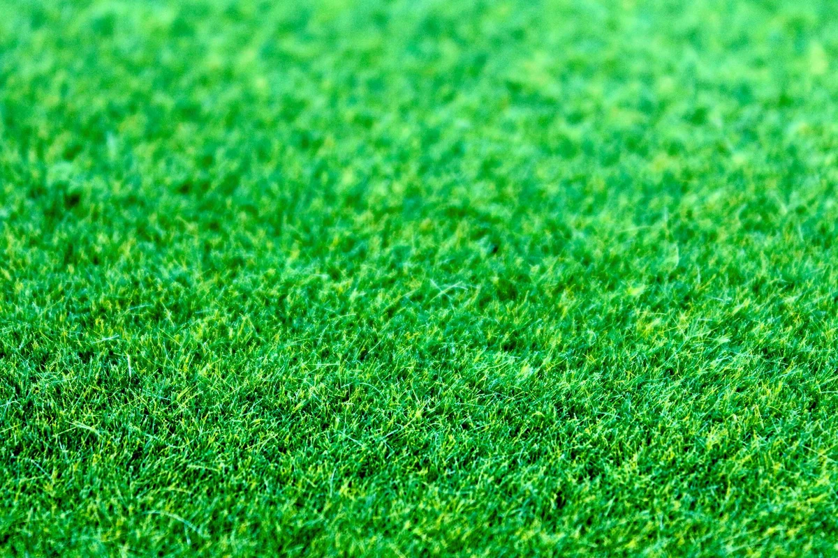 Battery-Powered Lawn Care: Effortless Maintenance for All Garden Sizes