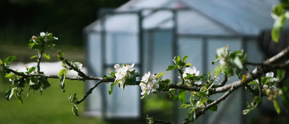 Choosing Materials for Your Garden Greenhouse