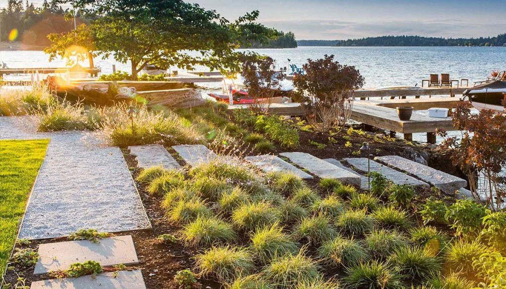 Top Gardening Blogs to Inspire Your Green Thumb