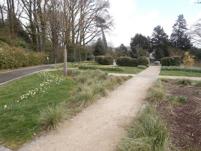 The Florist's Garden