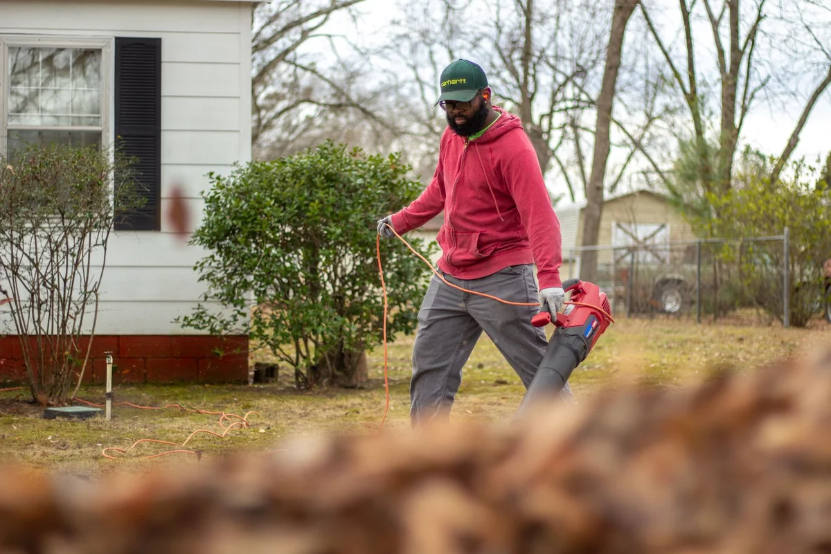 When is a Lawn Scarifier Worth the Investment?