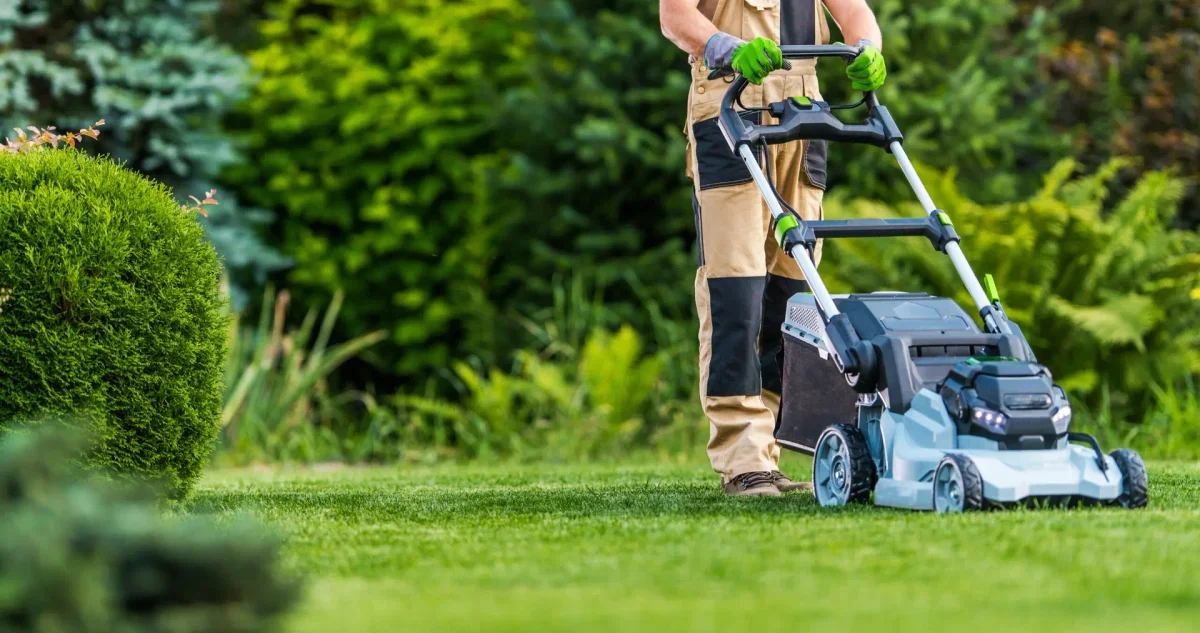 Avoiding Common Summer Gardening Pitfalls