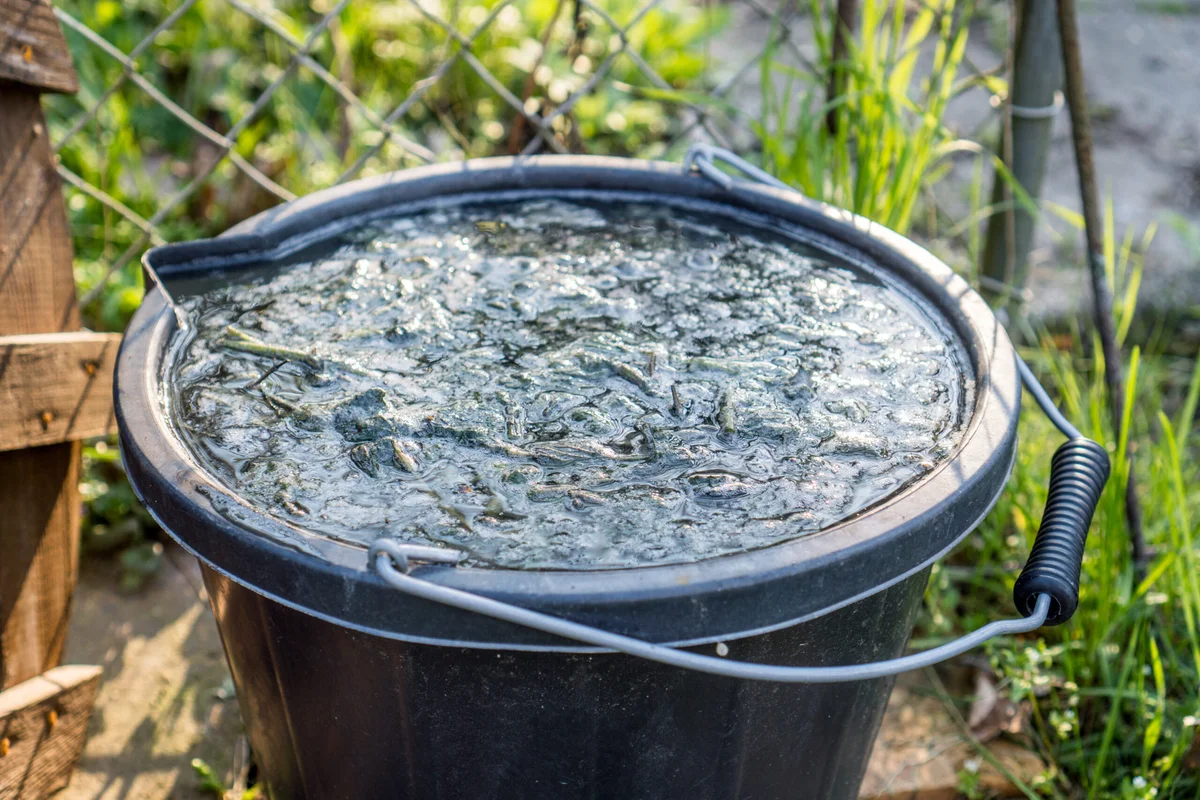 Creating Plant Ferments – A Natural Fertilizer for Your Garden