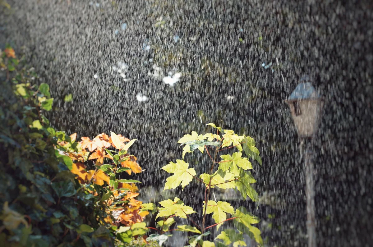 Rainwater Harvesting: Efficiently Collecting Rainwater with Downspout Collectors