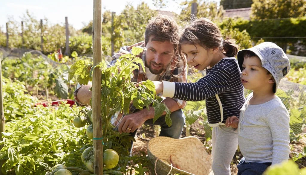 Exploring the Best Gardening Blogs for 2019