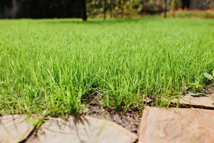 How to Level Your Garden: Techniques and Tools Based on Area Size