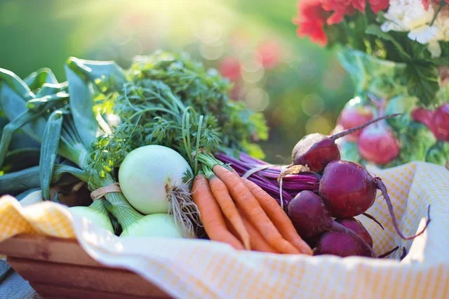 Top Picks for Vegetable Gardening Books