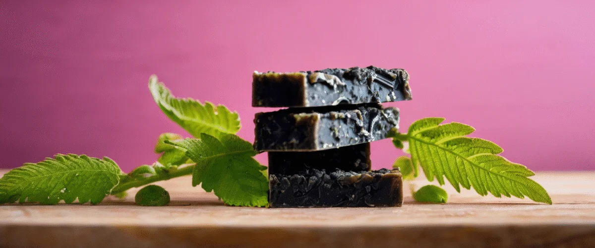 Effective Use of Black Soap Against Aphids: 2025 Guidelines