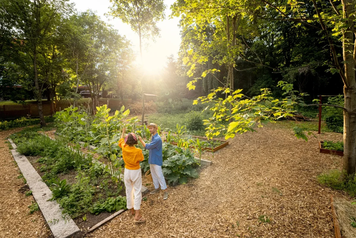 Creating an Edible Forest Garden in Urban Spaces: Is 20 m² Enough?