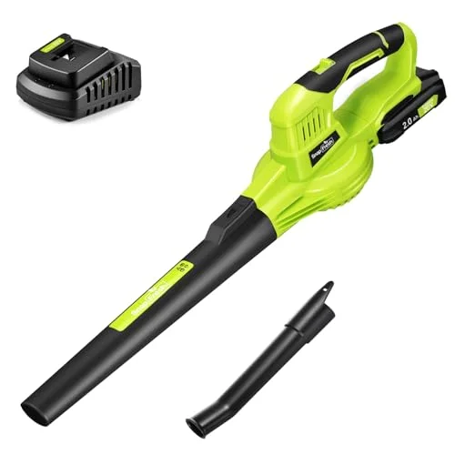 Wireless Leaf Blower 21V: Power and Versatility for Your Garden