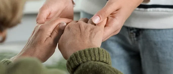 The Evolution of Personal Services in France: From Family Support to Professional Care