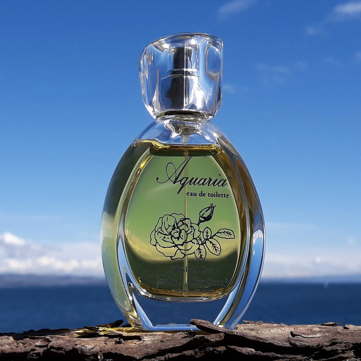 The Return of Eau de Toilette Aquaria: A Seasonal Delight