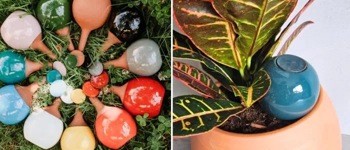 Exploring Ollas: Practical and Decorative Solutions for Your Plants