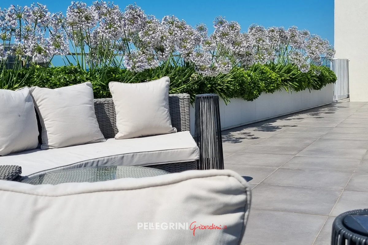 Modular Planters for Balconies and Terraces