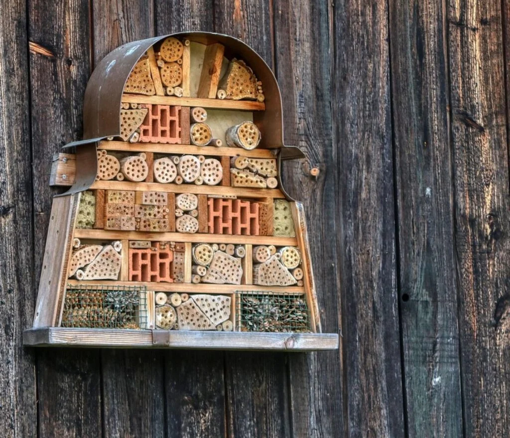 Insect Hotels: Choosing and Installing the Perfect Refuge