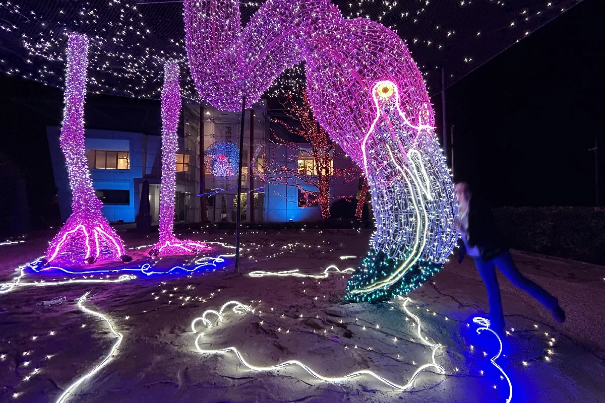 Christmas 2023: The Giant Pink Flamingo at Pellegrini Giardini