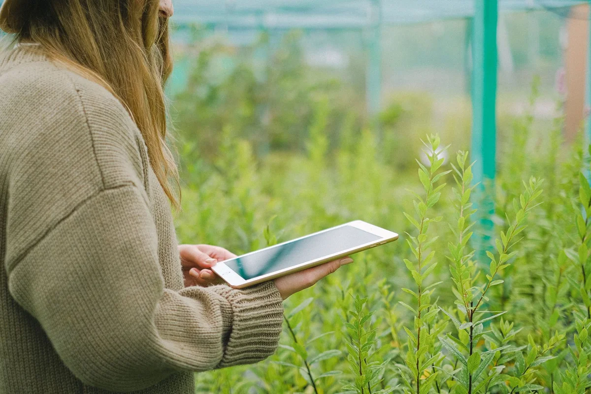 Utilizing Rain Barrels: The Convenience of Rainwater Pumps for Gardening