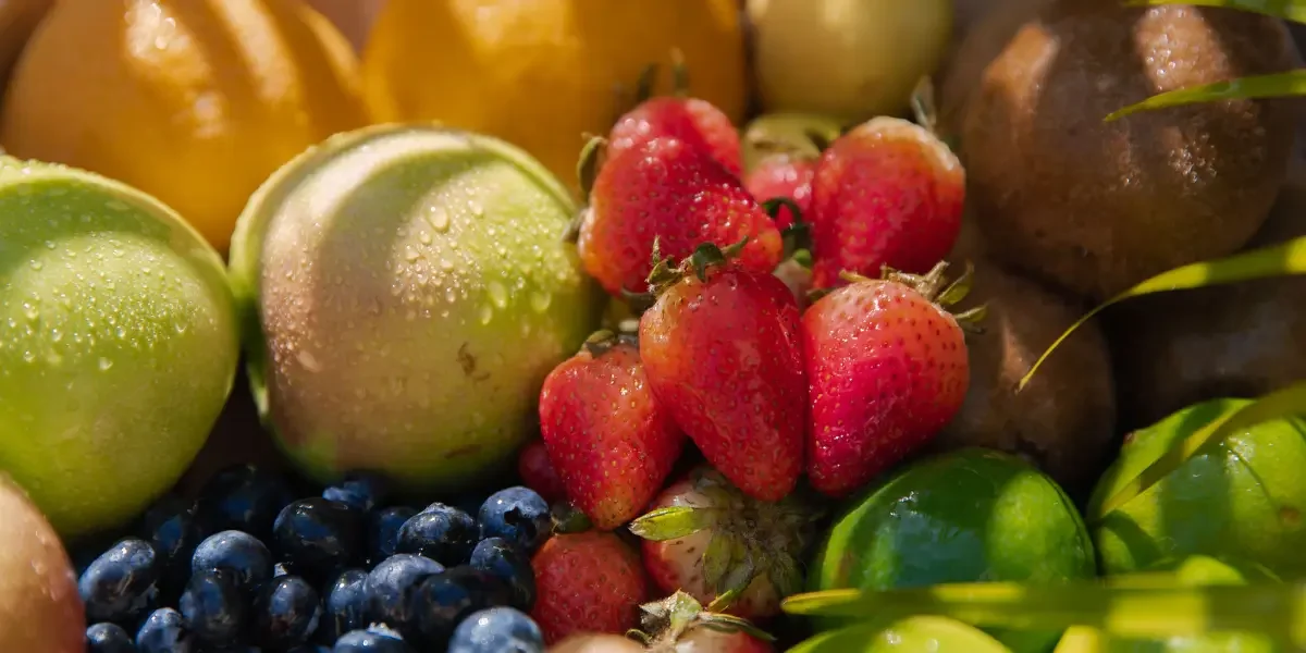 Tips to Enhance Your Organic Garden's Yield