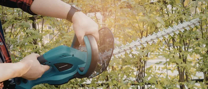 Choosing the Right Power Tools for Landscaping: Key Considerations