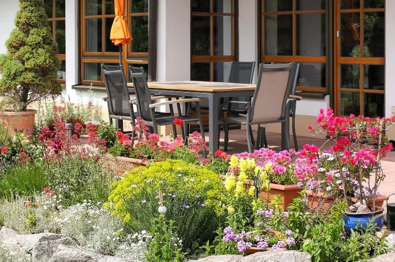 Indoor Plants: Creating a Green Oasis in Your Home