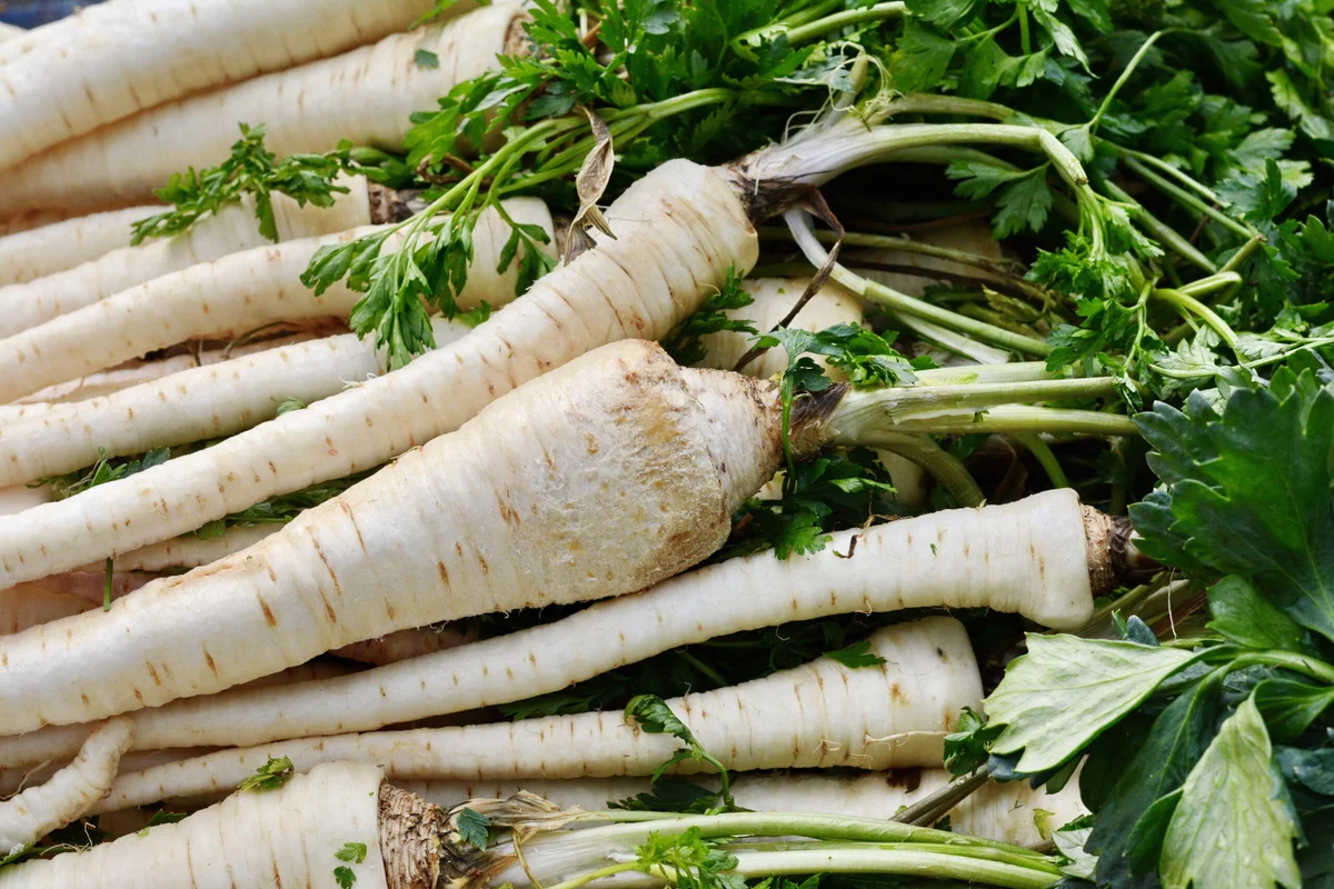 Rediscovering Forgotten Vegetable Varieties