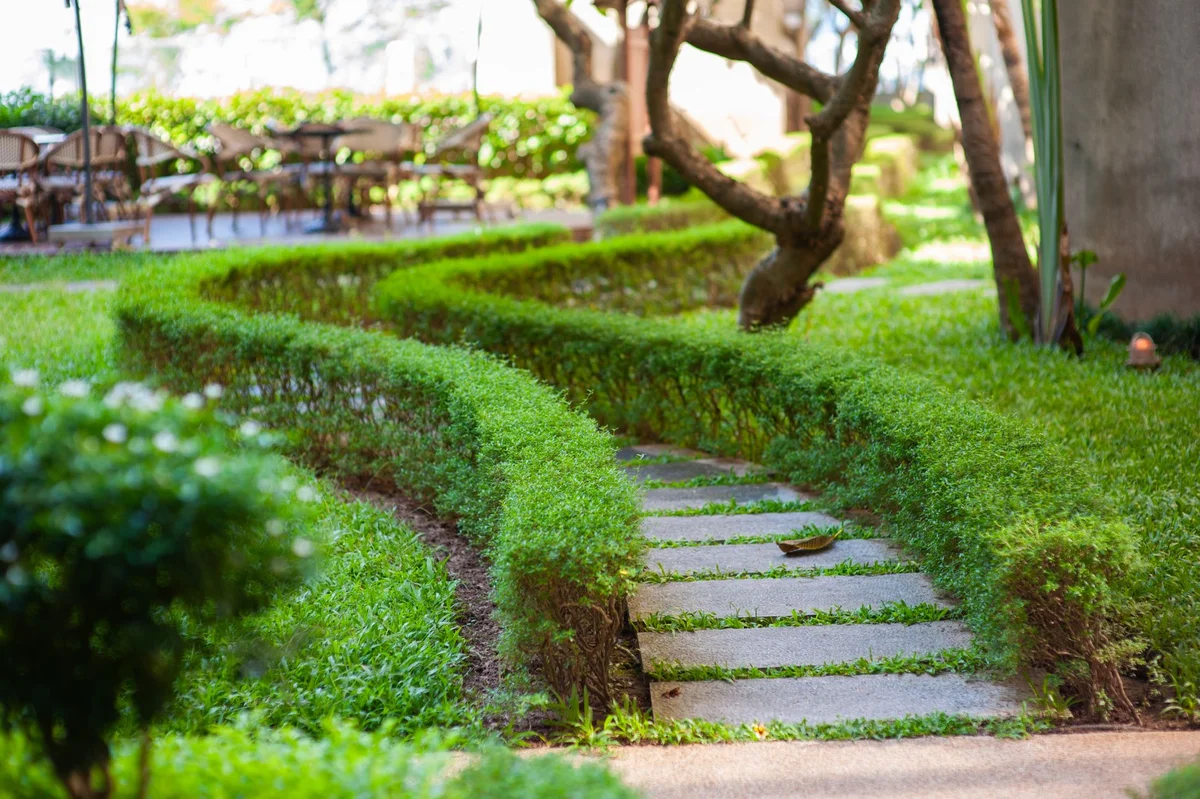 Garden Design: Ideas, Planning, and Implementation for Every Garden