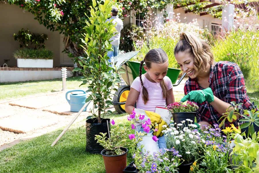 Creating Your Own Boho Oasis: Plant Sets for Your Garden and Balcony