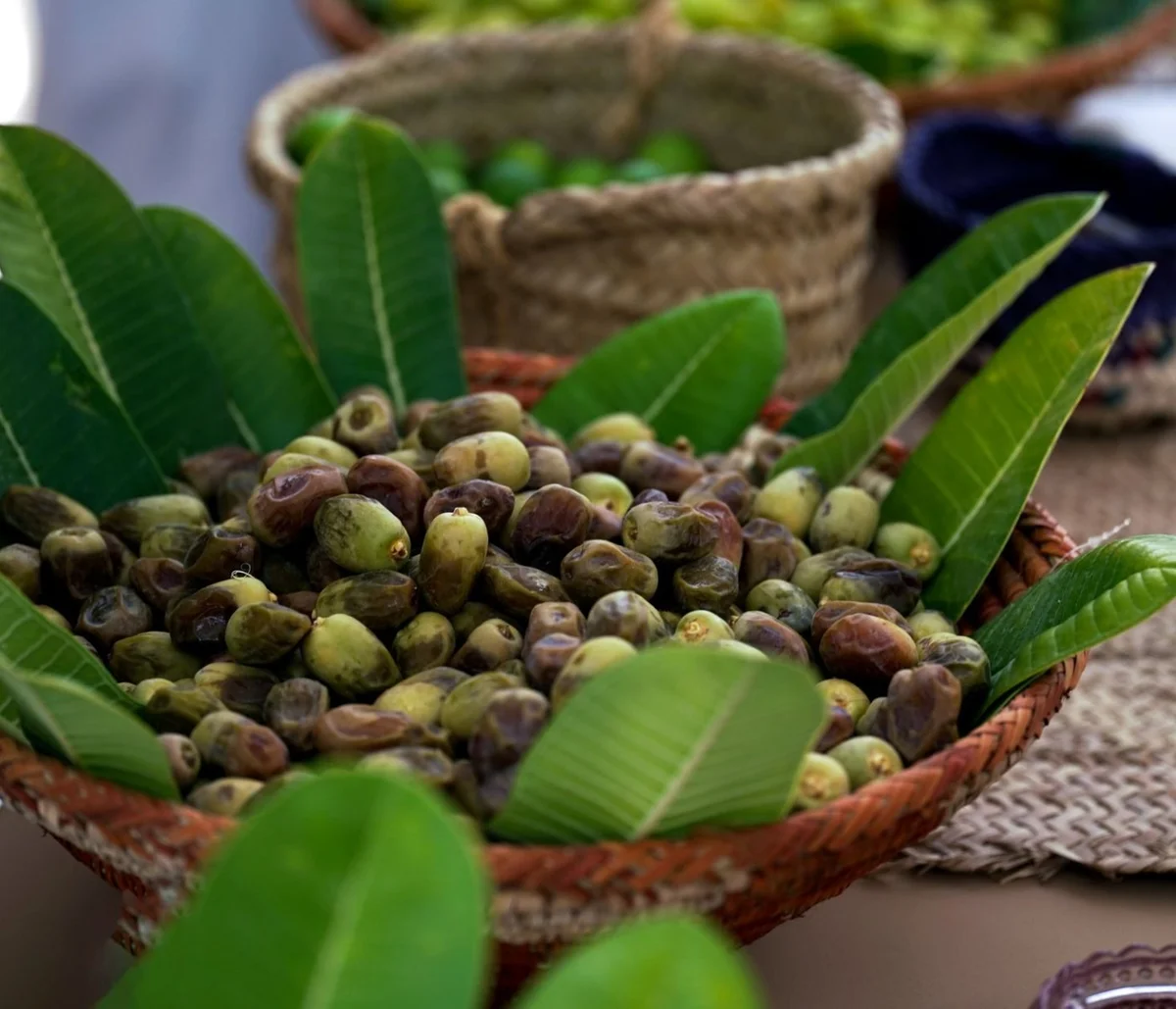 Recreating the Garden of Eden: Insights from Scientific Research
