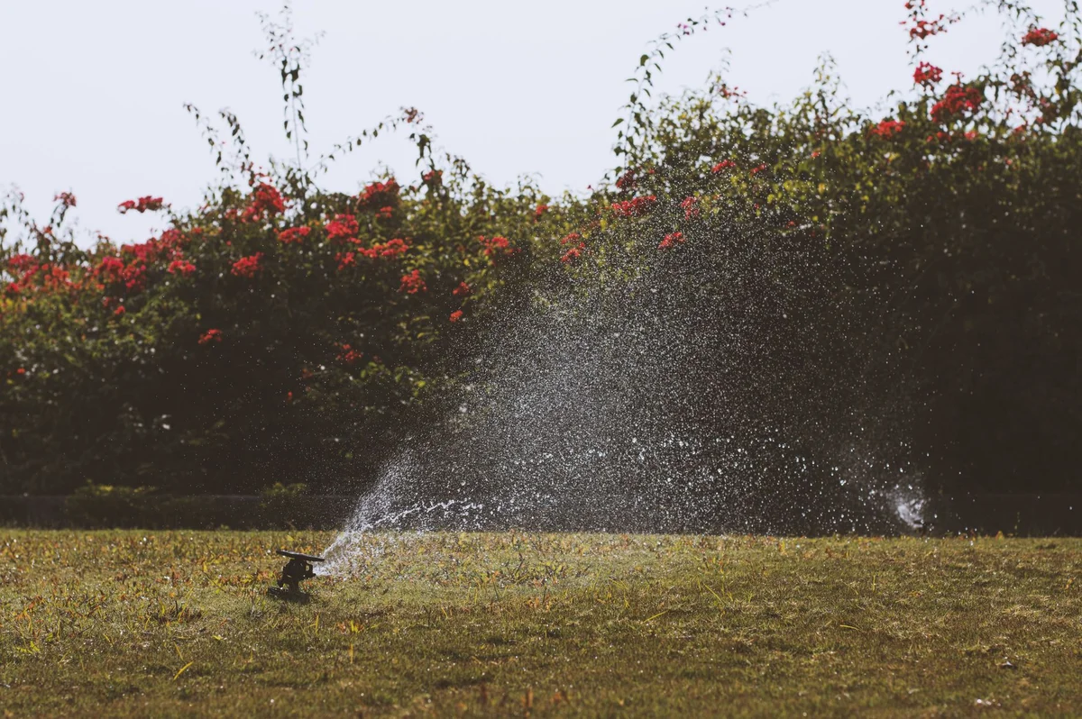 Choosing the Right Automatic Irrigation System for Your Garden