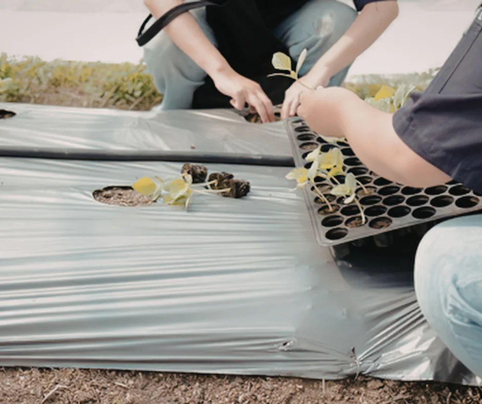 Understanding Mulching Fabrics: When They Work and When to Avoid Them