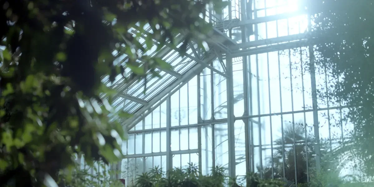 The Benefits of Integrating a Glass Greenhouse into Your Garden