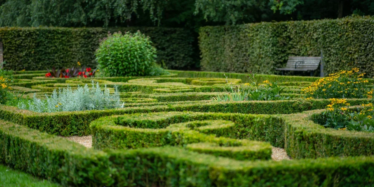 Choosing and Caring for Ornamental Shrubs: A Comprehensive Guide