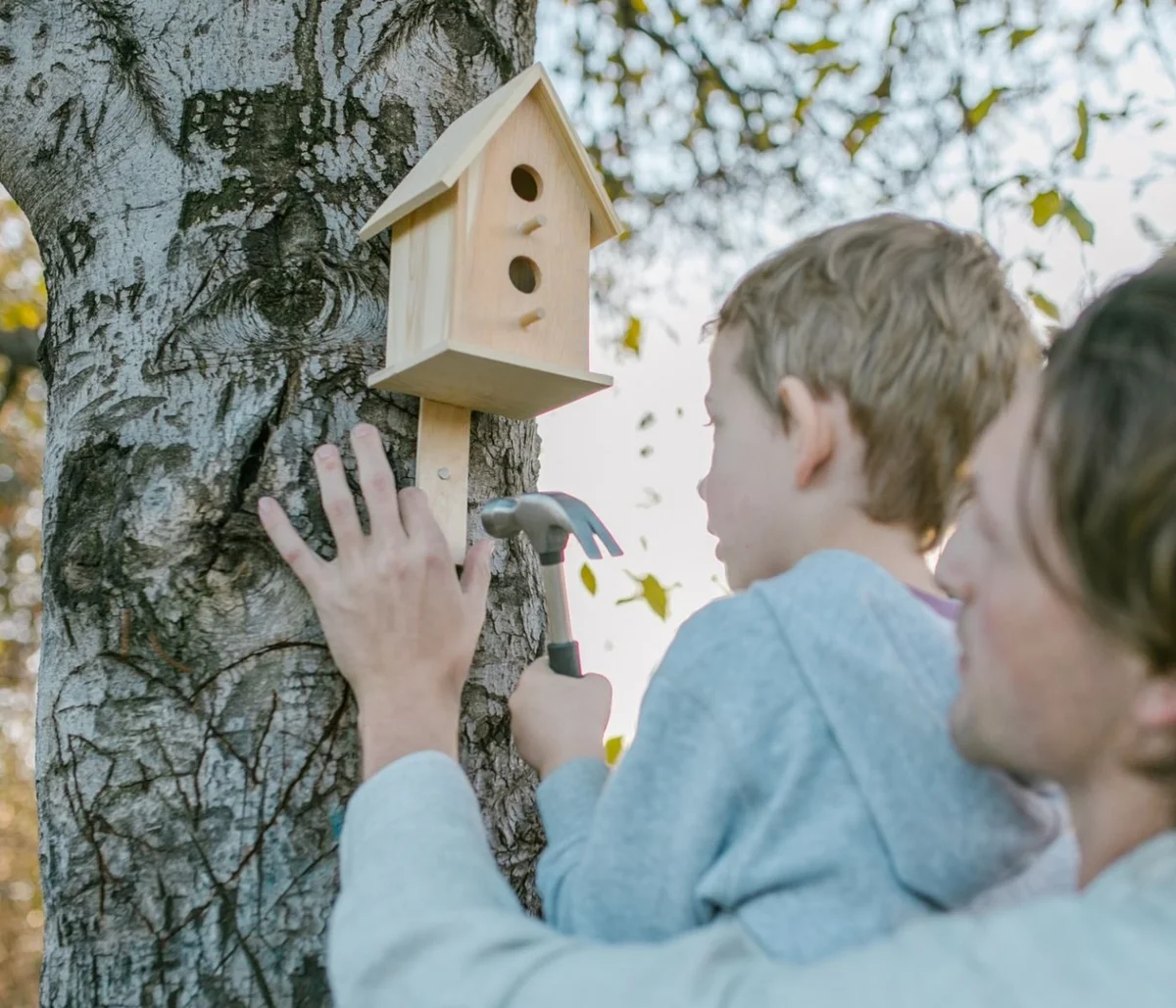 Building an Insect Hotel: A Step-by-Step Guide