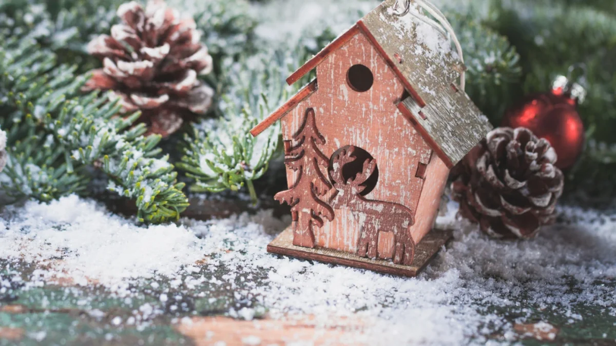 How to Decorate Your Garden for Christmas