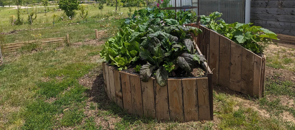 Understanding Different Types of Gardeners
