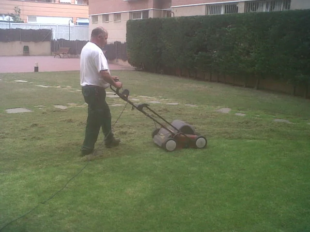 Essential Lawn Care: Scarification, Reseeding, and Topdressing