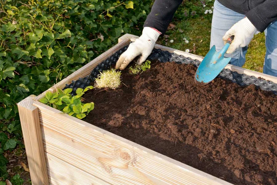 Creating a Raised Bed: Transform Your Garden into Paradise