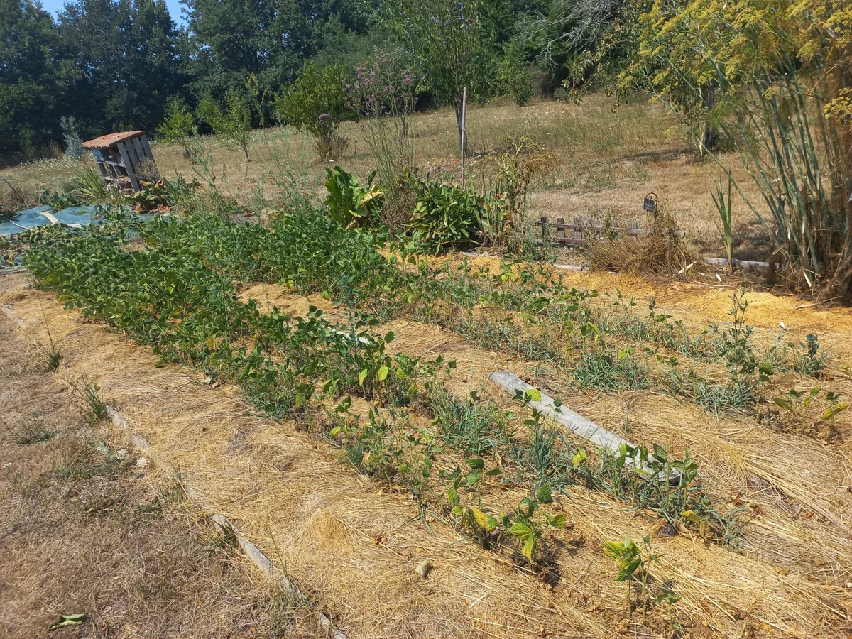 Heatwaves: Insights from Your Soil