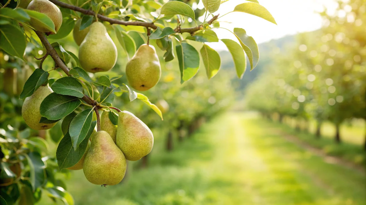 The Comprehensive Guide to Fruit Trees – Your Questions Answered
