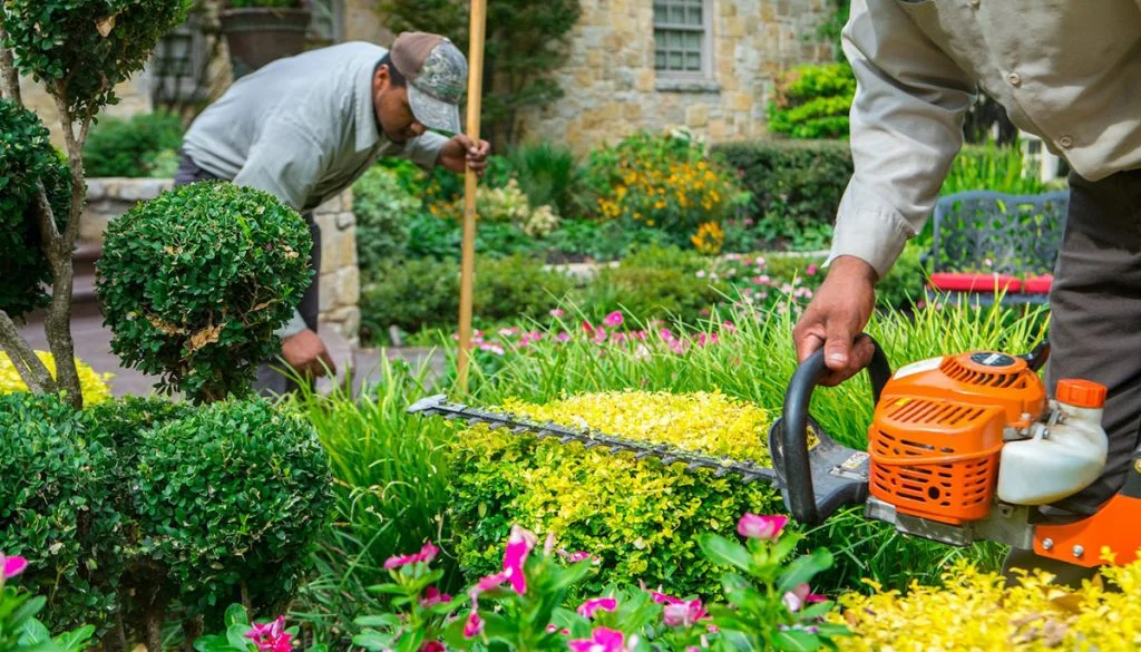 Top Gardening Blogs to Inspire Your Green Thumb
