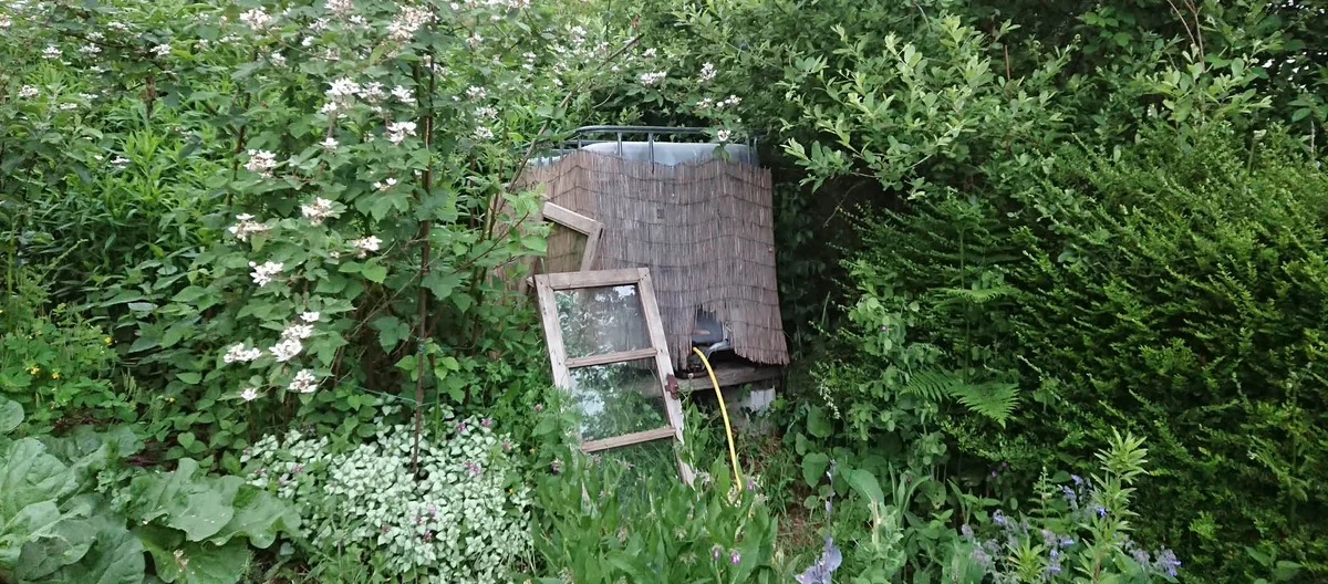 The Importance of Rainwater Harvesting in Gardening