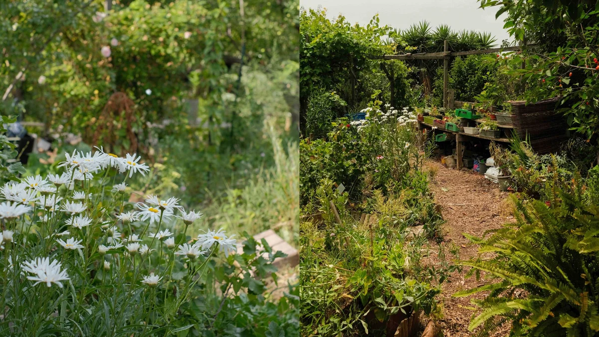 A Perpetual Calendar for a Responsible and Supportive Garden in Marseille