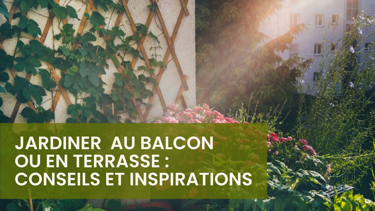 Gardening on Balconies and Terraces: Tips and Inspiration