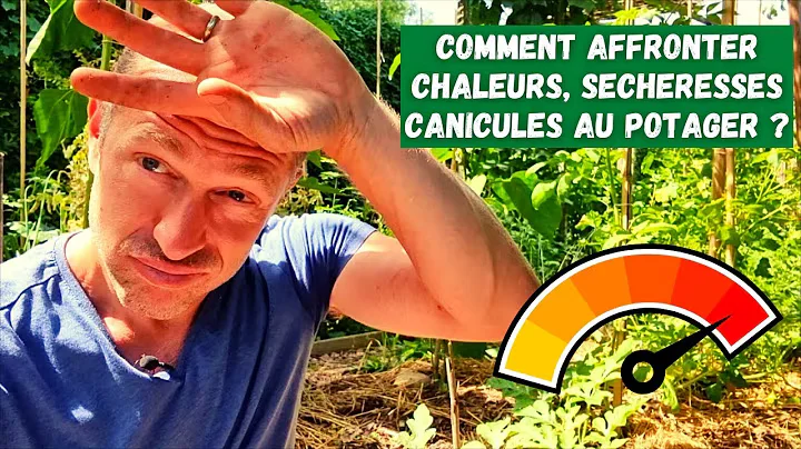 🌿 Keep Your Plants Fresh: The Secret Method to Beat the Heat ☀️